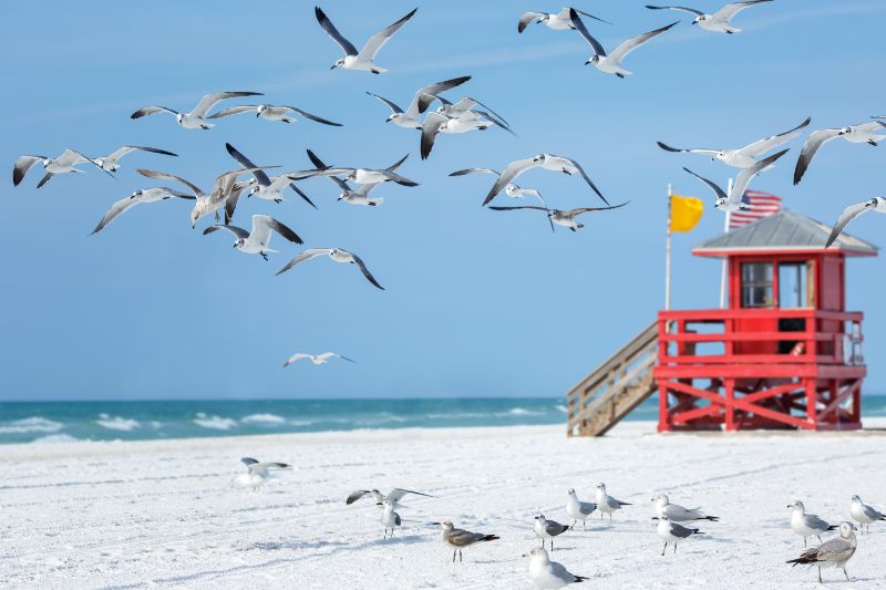 Siesta Beach Accolades - Sarasota